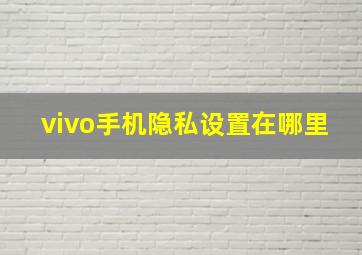 vivo手机隐私设置在哪里