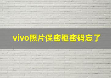 vivo照片保密柜密码忘了