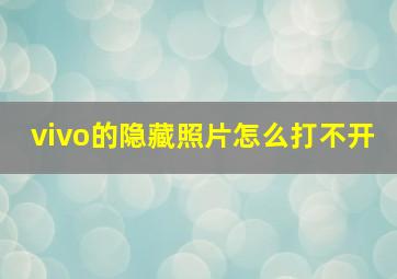 vivo的隐藏照片怎么打不开