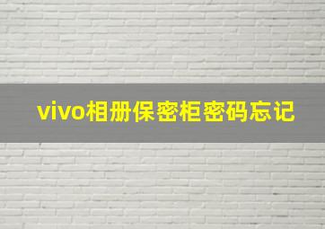 vivo相册保密柜密码忘记