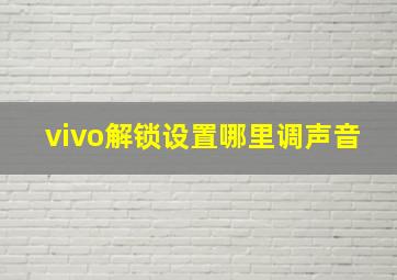 vivo解锁设置哪里调声音