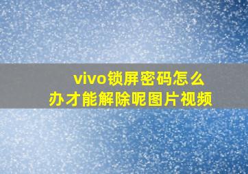 vivo锁屏密码怎么办才能解除呢图片视频