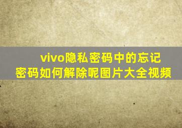 vivo隐私密码中的忘记密码如何解除呢图片大全视频