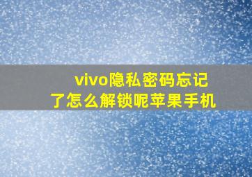 vivo隐私密码忘记了怎么解锁呢苹果手机