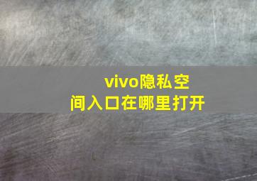 vivo隐私空间入口在哪里打开