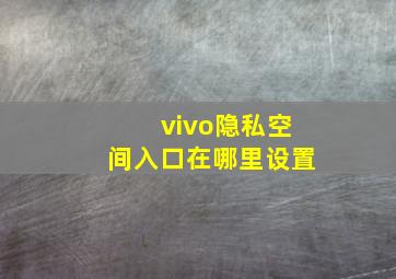 vivo隐私空间入口在哪里设置