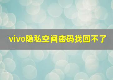 vivo隐私空间密码找回不了