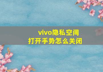 vivo隐私空间打开手势怎么关闭