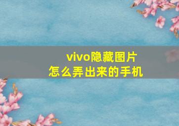 vivo隐藏图片怎么弄出来的手机