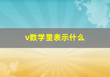 v数学里表示什么