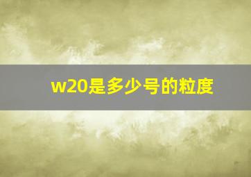 w20是多少号的粒度