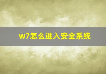 w7怎么进入安全系统