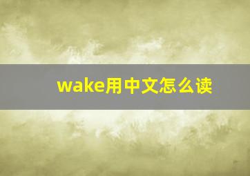 wake用中文怎么读