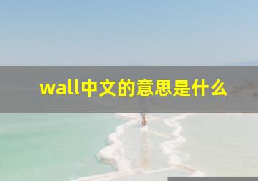 wall中文的意思是什么