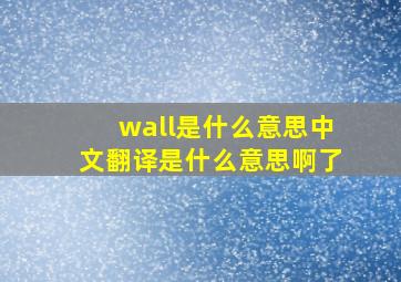 wall是什么意思中文翻译是什么意思啊了