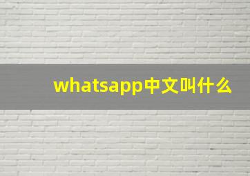 whatsapp中文叫什么