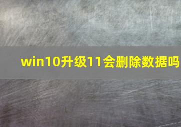 win10升级11会删除数据吗