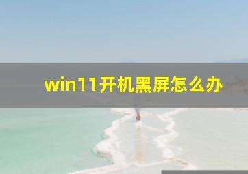 win11开机黑屏怎么办