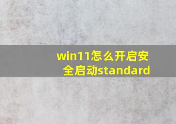 win11怎么开启安全启动standard