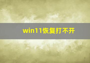 win11恢复打不开