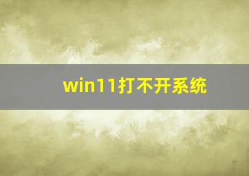 win11打不开系统