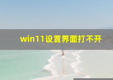 win11设置界面打不开