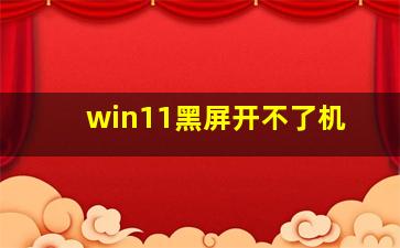 win11黑屏开不了机