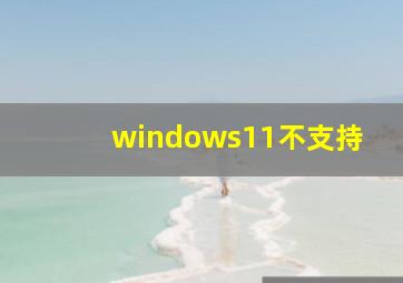 windows11不支持