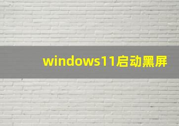 windows11启动黑屏