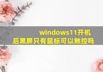 windows11开机后黑屏只有鼠标可以触控吗