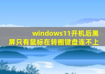 windows11开机后黑屏只有鼠标在转圈键盘连不上