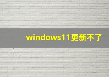 windows11更新不了