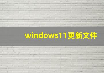 windows11更新文件