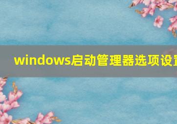 windows启动管理器选项设置