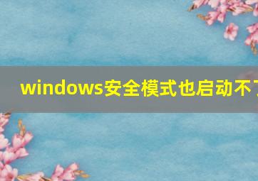 windows安全模式也启动不了