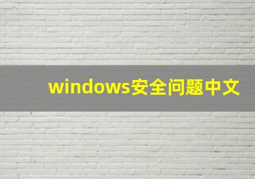 windows安全问题中文