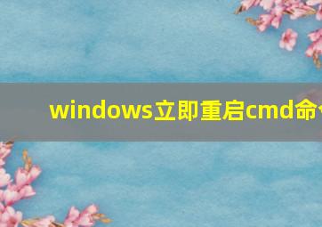 windows立即重启cmd命令