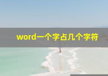 word一个字占几个字符