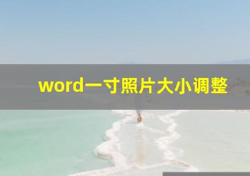 word一寸照片大小调整