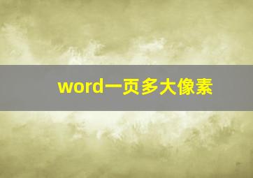 word一页多大像素