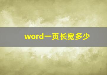 word一页长宽多少