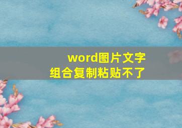 word图片文字组合复制粘贴不了