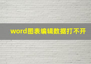 word图表编辑数据打不开