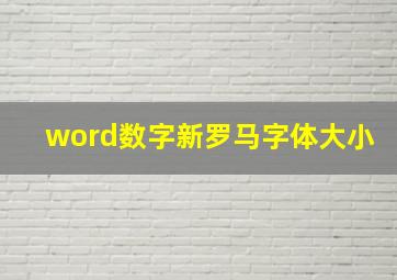 word数字新罗马字体大小