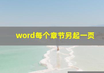 word每个章节另起一页