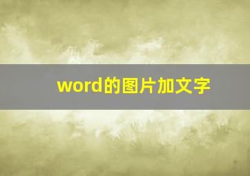 word的图片加文字