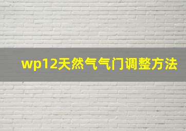 wp12天然气气门调整方法