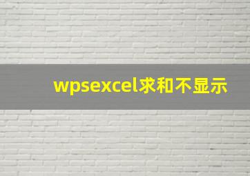 wpsexcel求和不显示