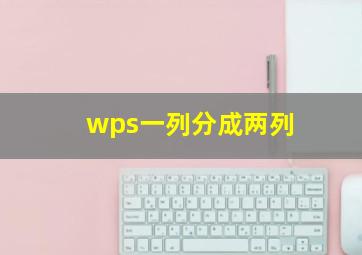 wps一列分成两列