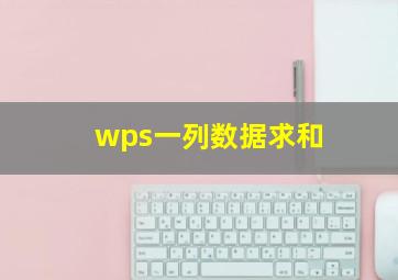 wps一列数据求和